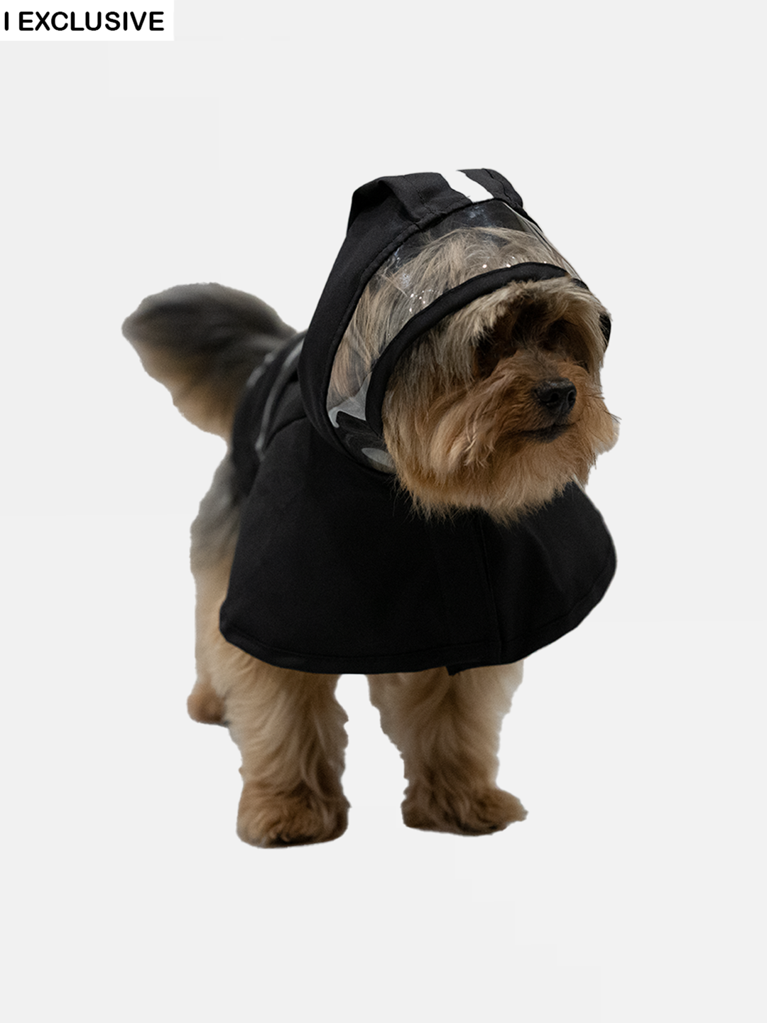 Sigma Rain Dog Jacket